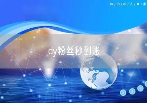dy粉丝秒到账