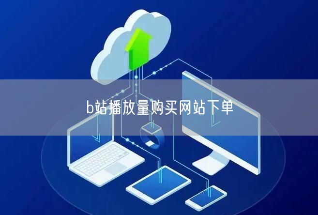b站播放量购买网站下单