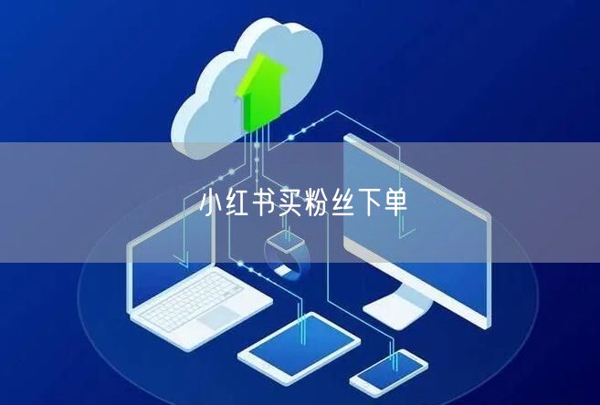 小红书买粉丝下单
