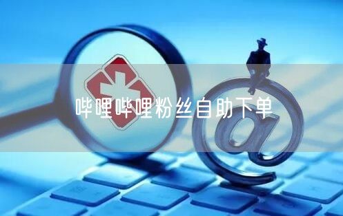 哔哩哔哩粉丝自助下单
