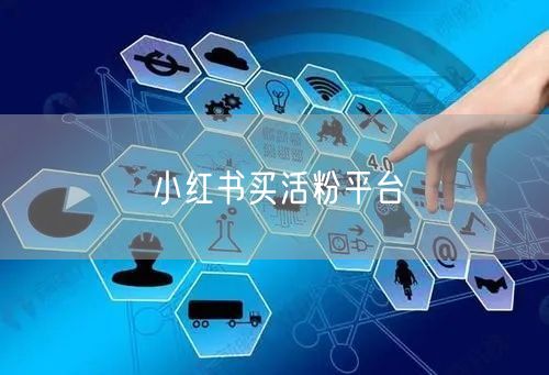 小红书买活粉平台