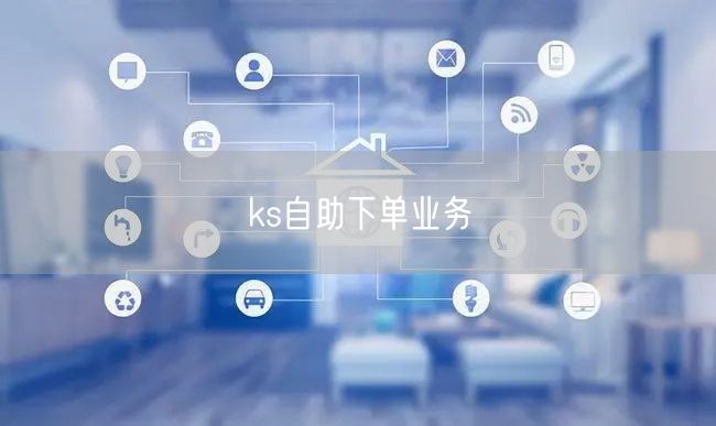 ks自助下单业务