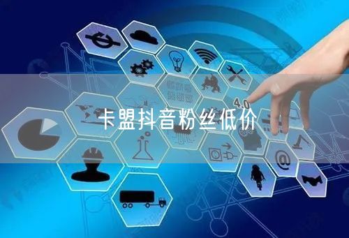 卡盟抖音粉丝低价